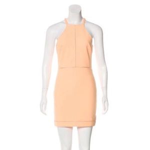 Elizabeth and James Reeves Dress